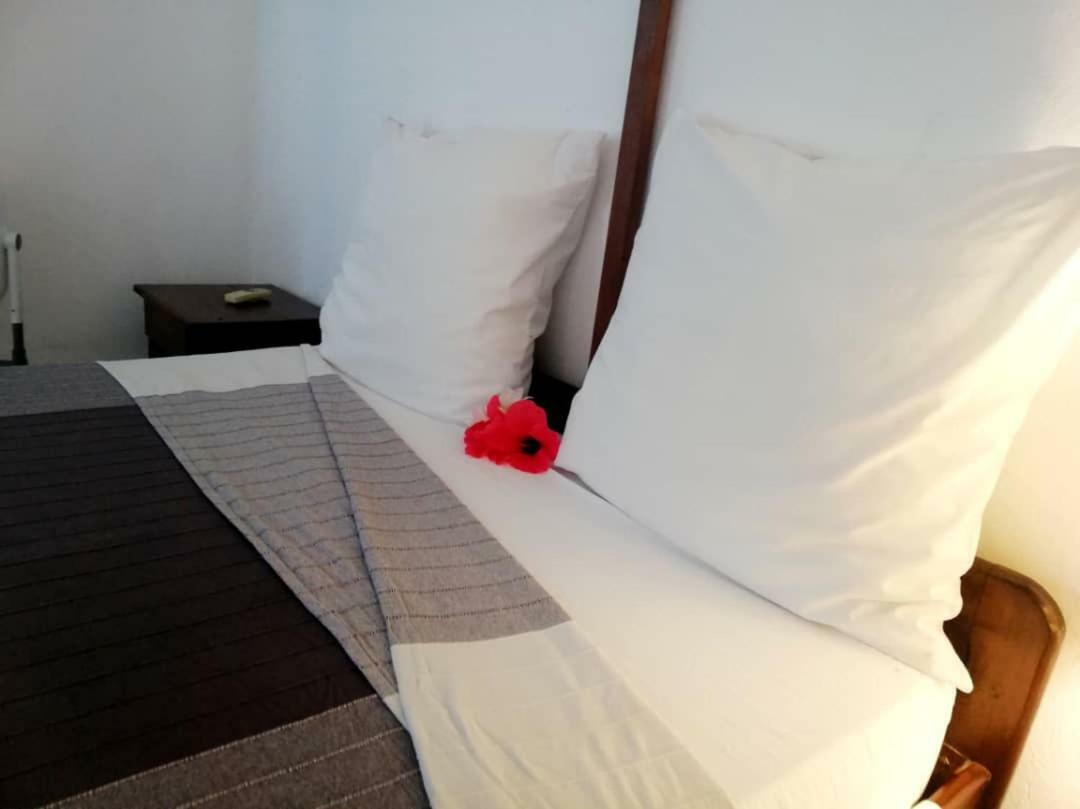 Hotel Jardin De La Paix โมโรนี ภายนอก รูปภาพ